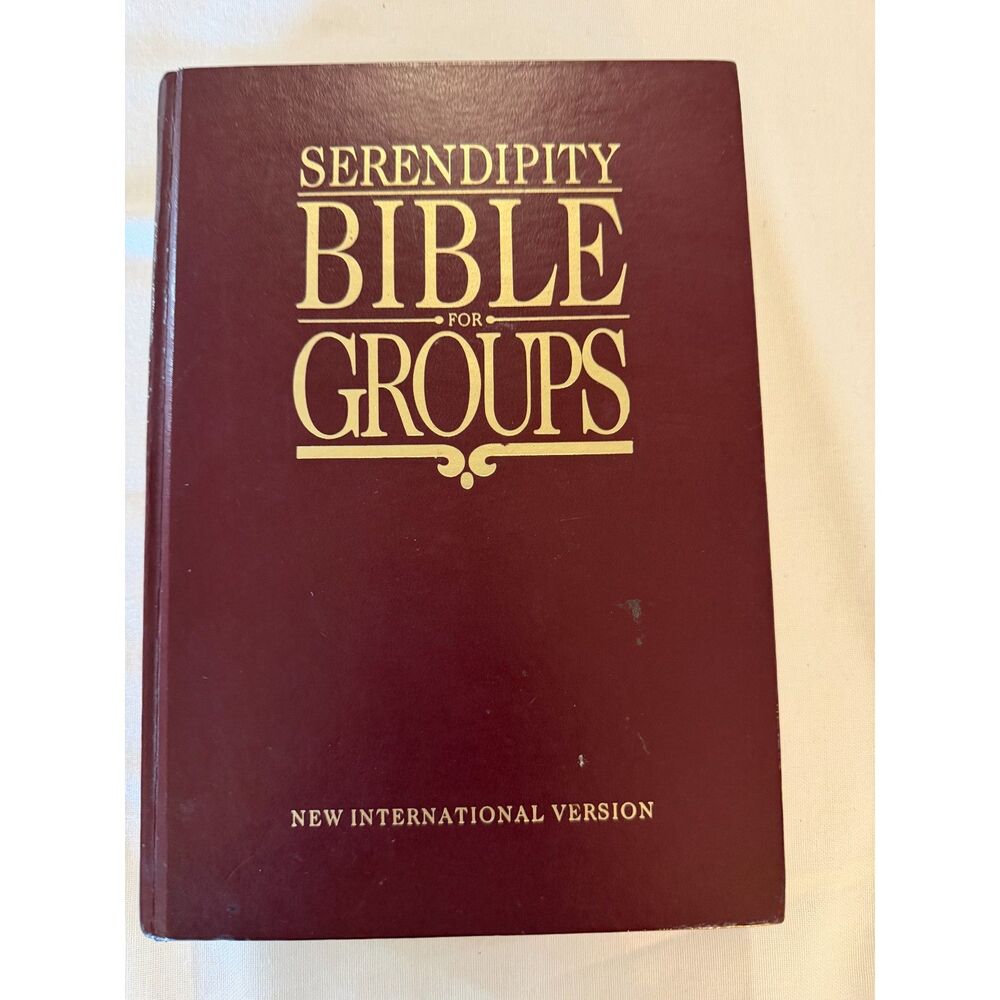Vintage Book 1989 Serendipity Bible for Groups Second Ed International Version